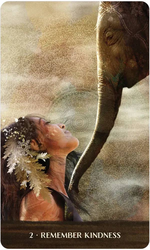 DEE Wild Woman Rising $38