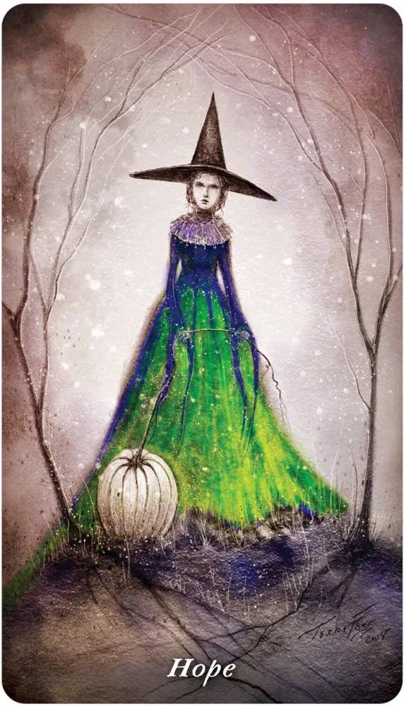 DEE Earthly Souls & Spirits Moon Oracle $32