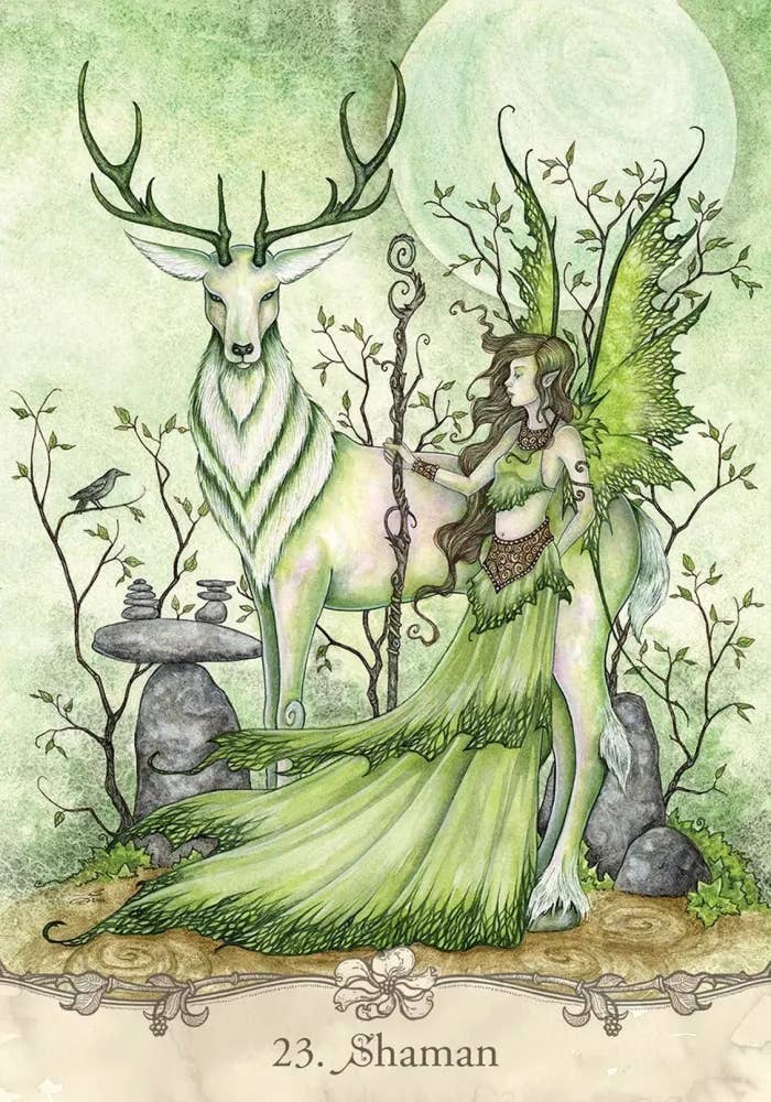 DEE Fairy Wisdom Oracle Deck and Book Set $34