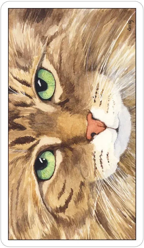 DEE Cat's Eye Tarot $31