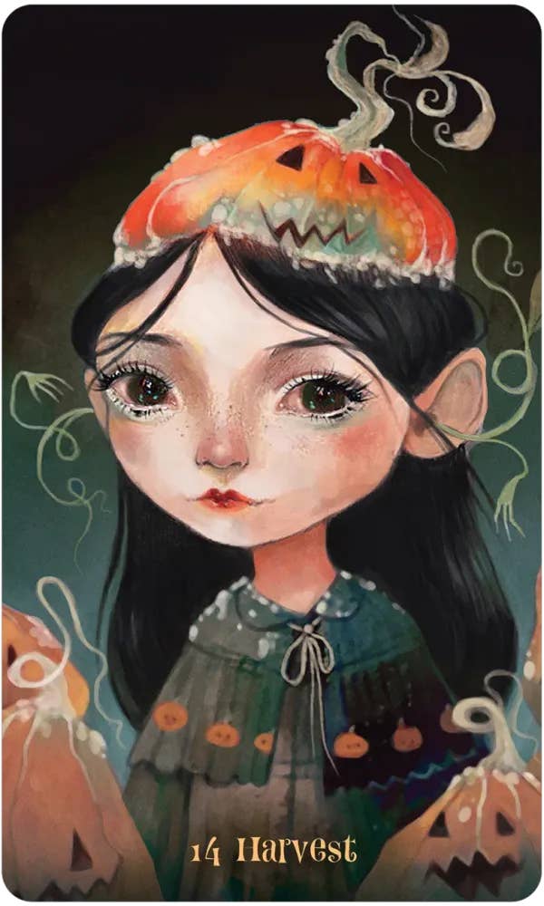 DEE Wisdom of the Wild Things Oracle $38