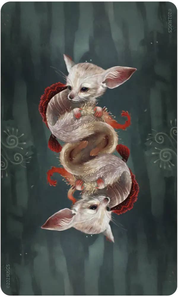 DEE Wisdom of the Wild Things Oracle $38