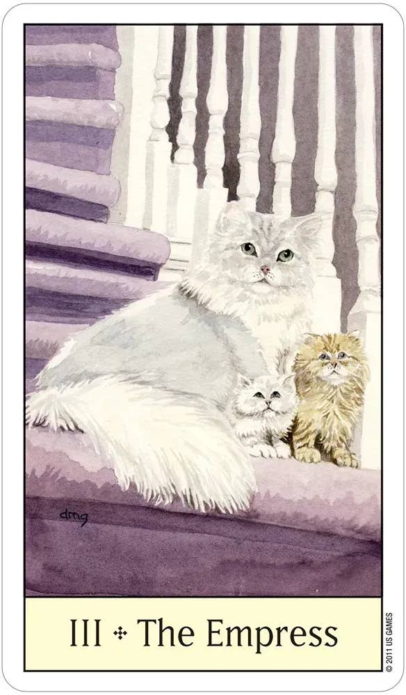 DEE Cat's Eye Tarot $31
