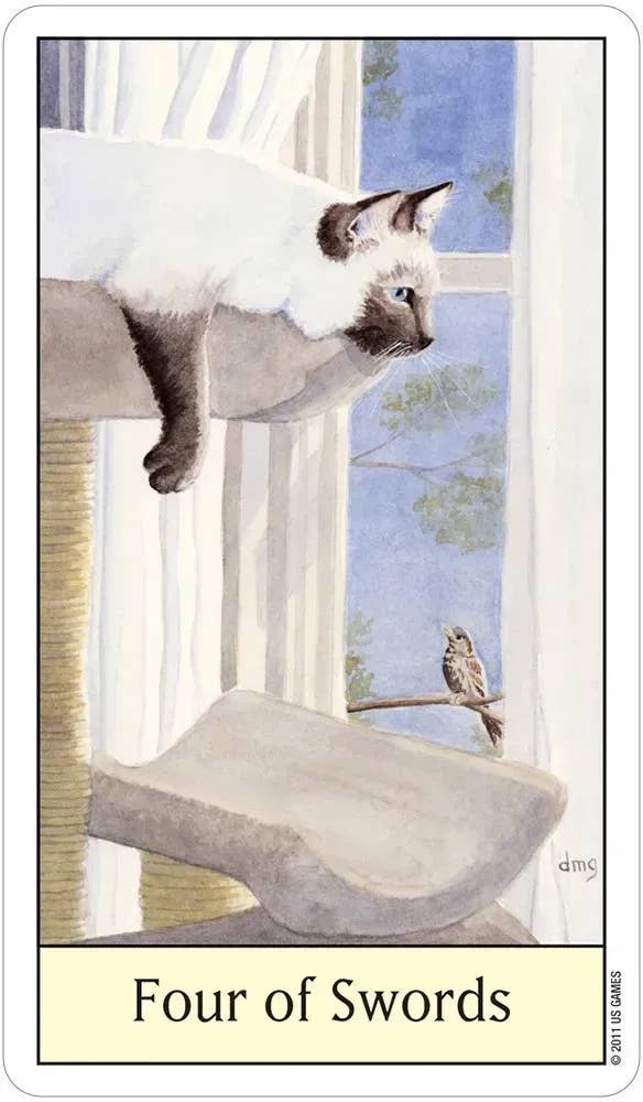 DEE Cat's Eye Tarot $31