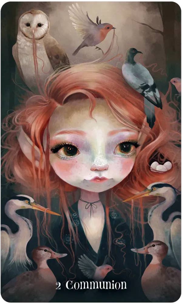 DEE Wisdom of the Wild Things Oracle $38