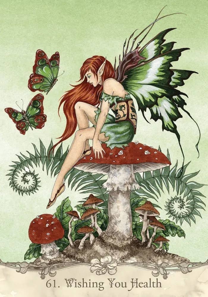 DEE Fairy Wisdom Oracle Deck and Book Set $34