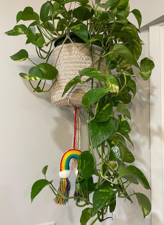 Pompom Rainbow Decoration from Mexico $17