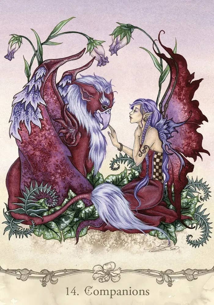 DEE Fairy Wisdom Oracle Deck and Book Set $34