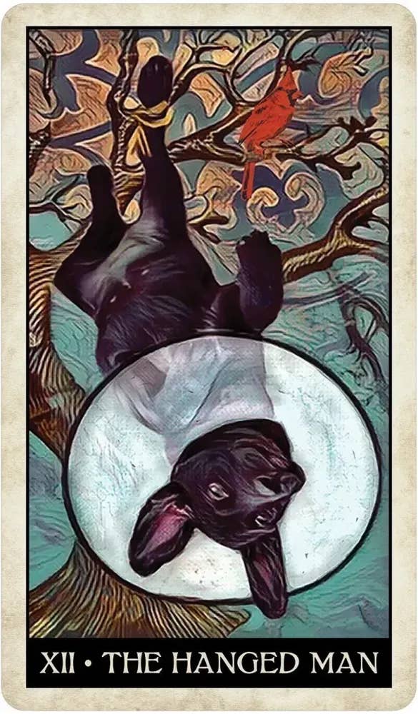 DEE Wise Dog Tarot $31