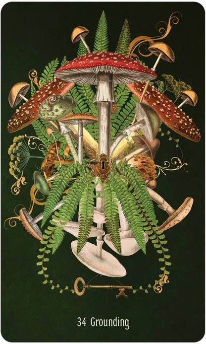 DEE Unlocking the Secret Garden Oracle $38