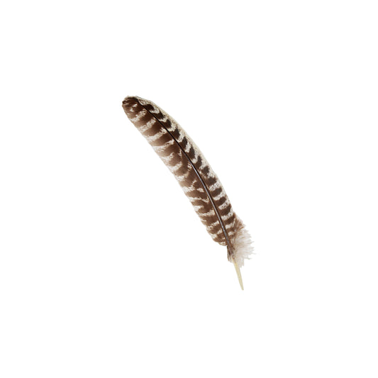 DEE 100% Real Turkey Smudge Feather (10-12 in.) $9