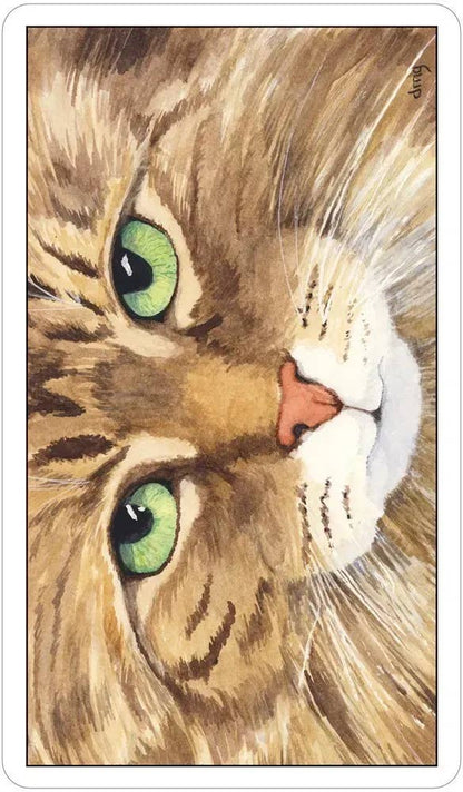 DEE Cat's Eye Tarot $31