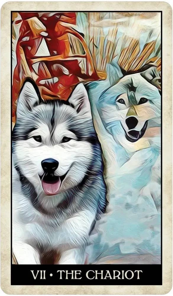DEE Wise Dog Tarot $31