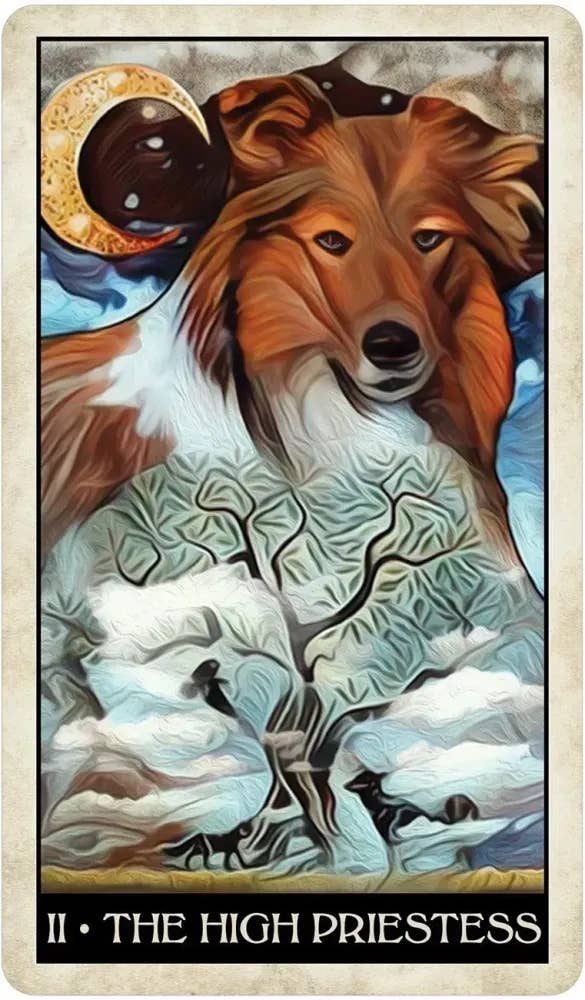 DEE Wise Dog Tarot $31