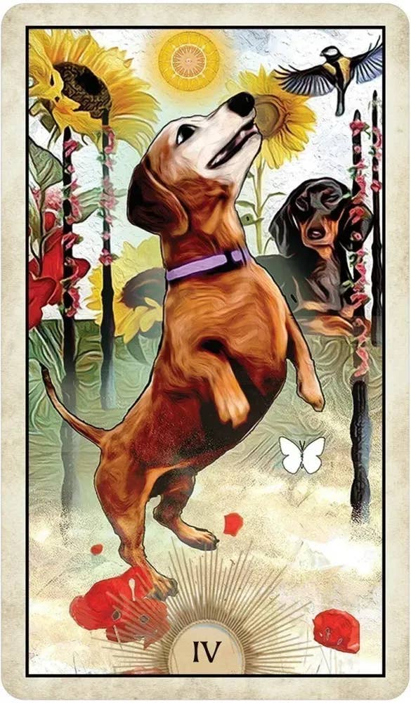 DEE Wise Dog Tarot $31