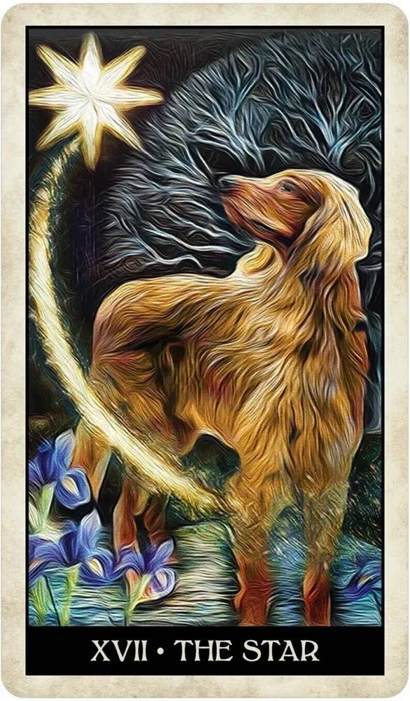 DEE Wise Dog Tarot $31