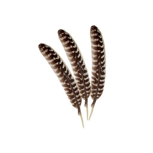 DEE 100% Real Turkey Smudge Feather (4-5 in.) $5